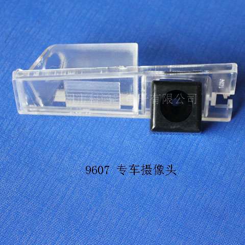 960708/09PCTS/w